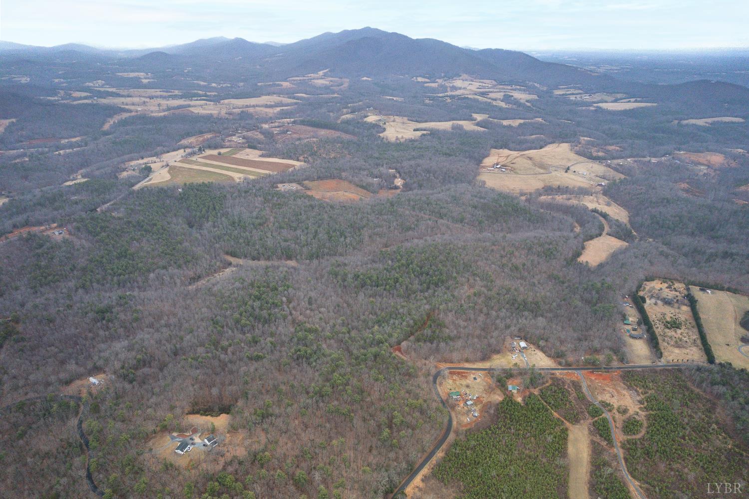 2724 West Perch Road Monroe, VA 24574 - Photo 2 of 14 a view of city and mountain