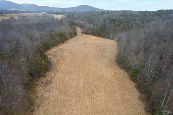 a view of a dry yard with mountains in the background