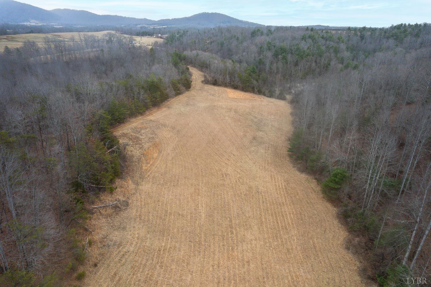 2724 West Perch Road Monroe, VA 24574 - Photo 8 of 14 a view of a dry yard with green space