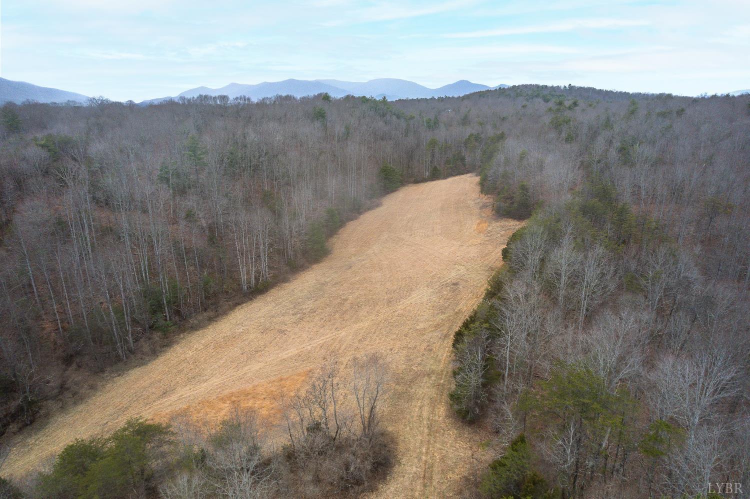 2724 West Perch Road Monroe, VA 24574 - Photo 9 of 14 a view of a dry yard with mountains in the background