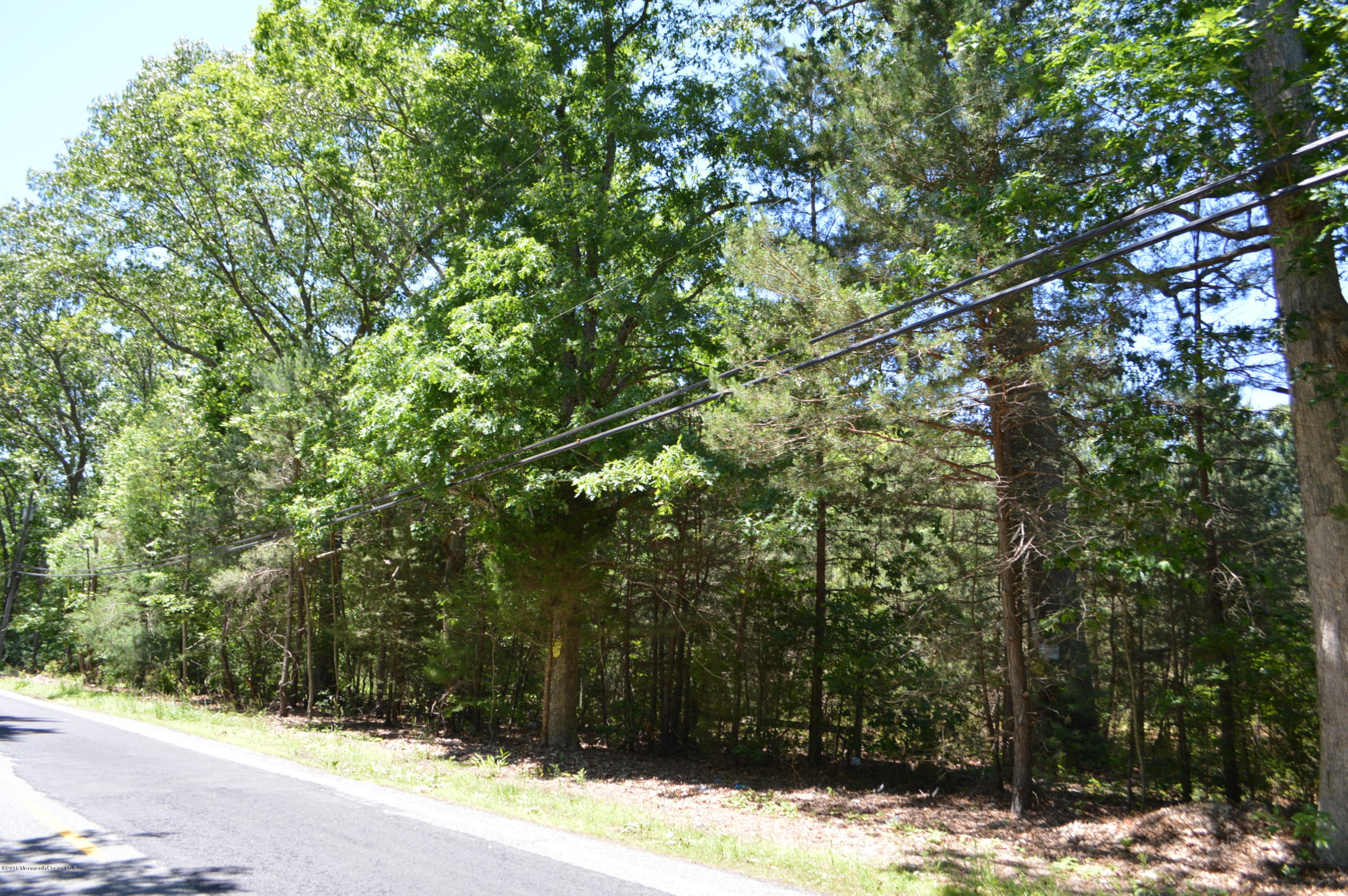 399 Bowman Road Jackson, NJ 08527 - Photo 1 of 1 Bowman Land