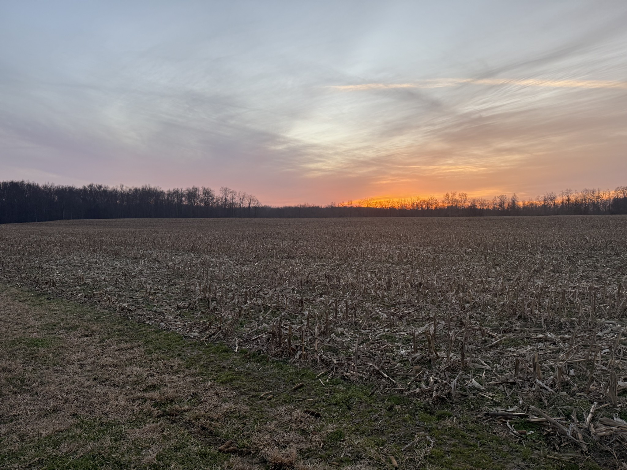 0 Hodge Road Manchester, TN 37355 - Photo 19 of 19 a view of an outdoor space and a mountain view in back