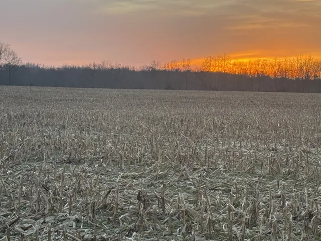 a view of an ocean and beach