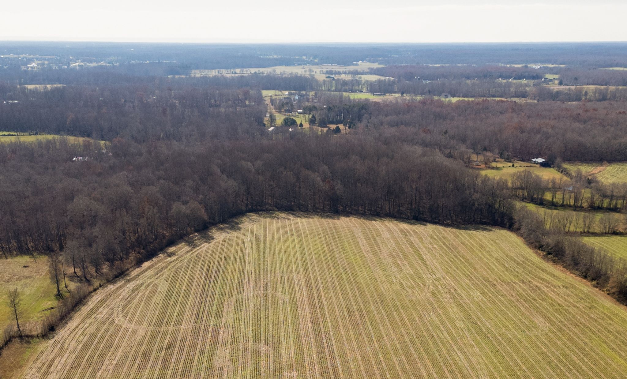 0 Hodge Road Manchester, TN 37355 - Photo 8 of 19