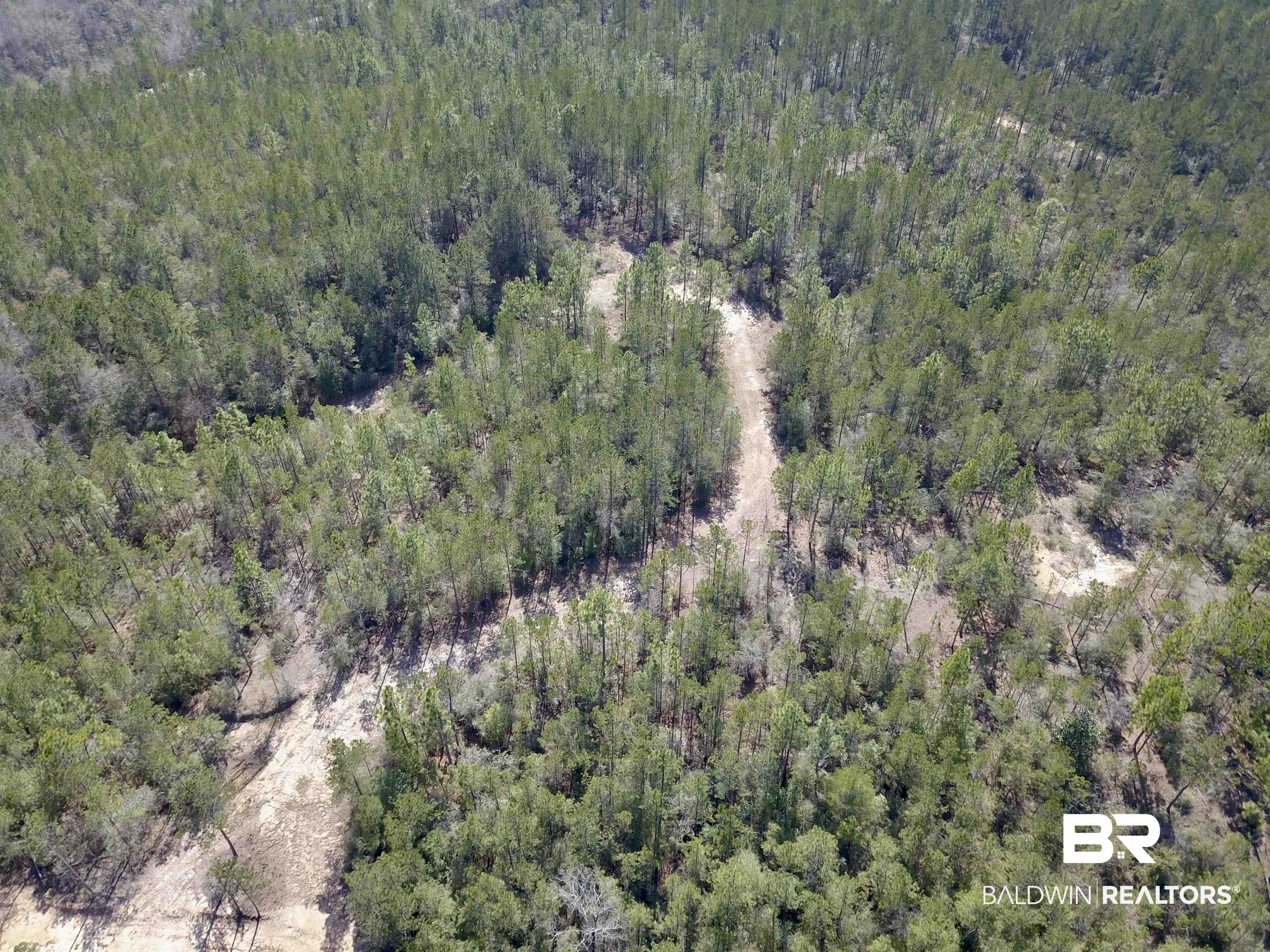8557 County Road 34 Millry, AL 36558 - Photo 4 of 36 Drone / aerial view featuring a forest view