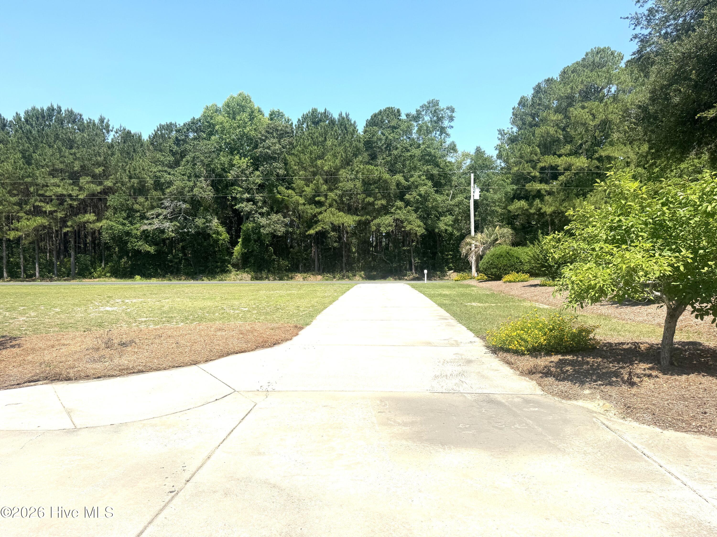 727 Mt Olive Road Bladenboro, NC 28320 - Photo 11 of 52