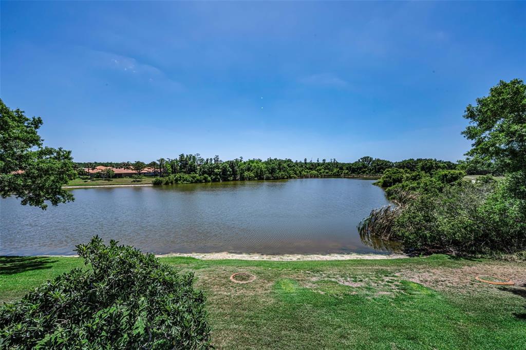 10706 Ruffino Court Trinity, FL 34655 - Photo 46 of 99
