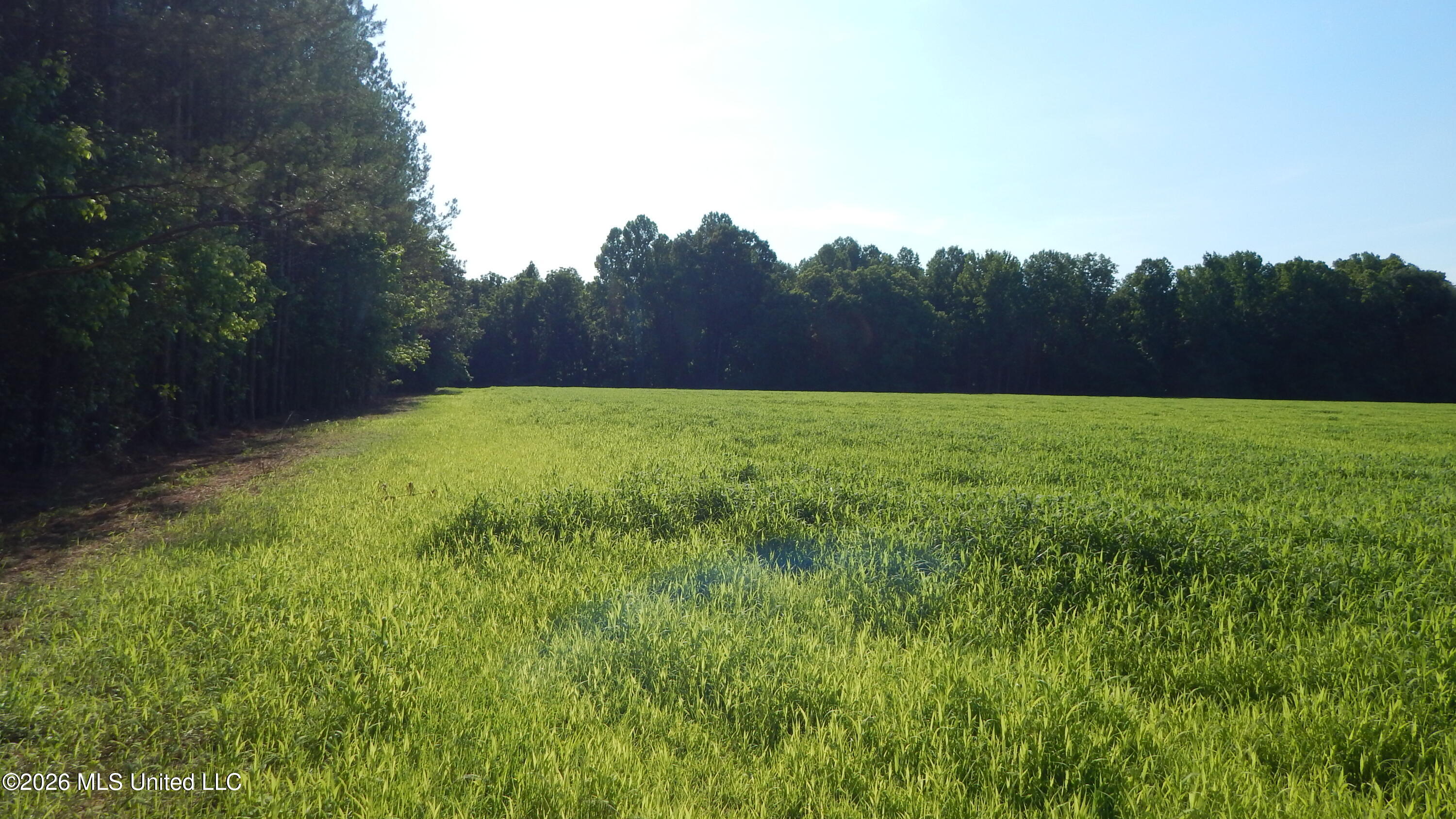 500 Cr 247 Road, Unit COUNTRY Bruce, MS 38915 - Photo 3 of 10 DSCN5253
