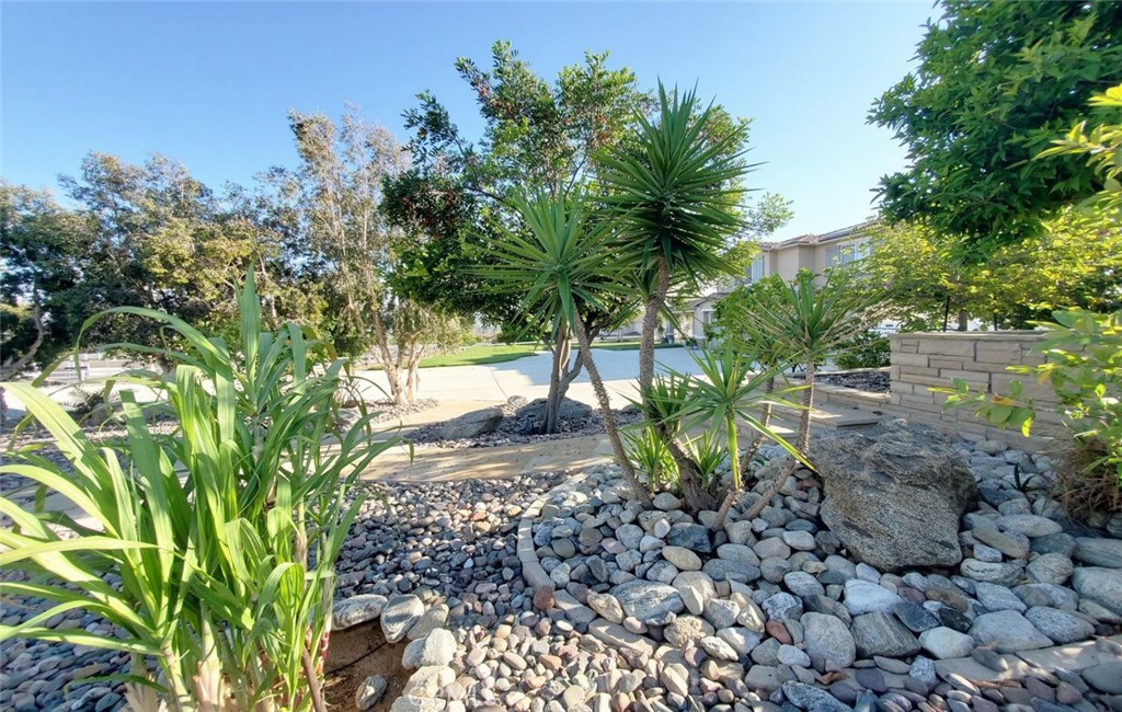 17465 Fairbreeze Court Riverside, CA 92504 - Photo 12 of 30 a view of a yard with plants and large trees