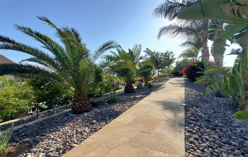 17465 Fairbreeze Court Riverside, CA 92504 - Photo 10 of 30 a view of a garden with palm trees
