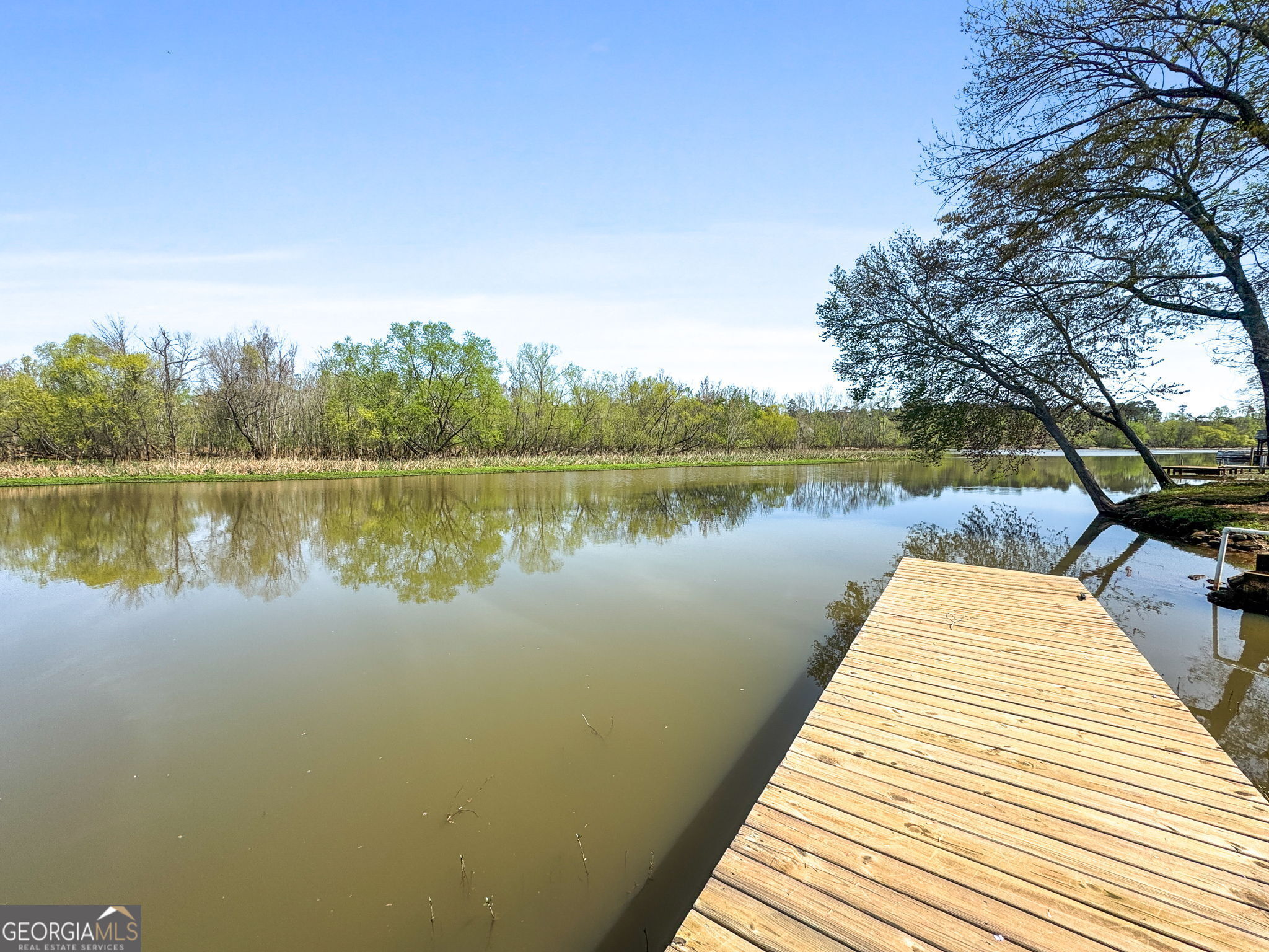 532 Henry Higgins Road Jackson, GA 30233 - Photo 29 of 46 a lake view with a lake view
