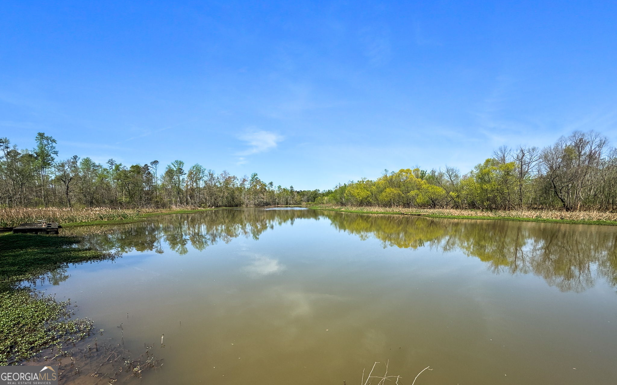 532 Henry Higgins Road Jackson, GA 30233 - Photo 30 of 46 a view of lake