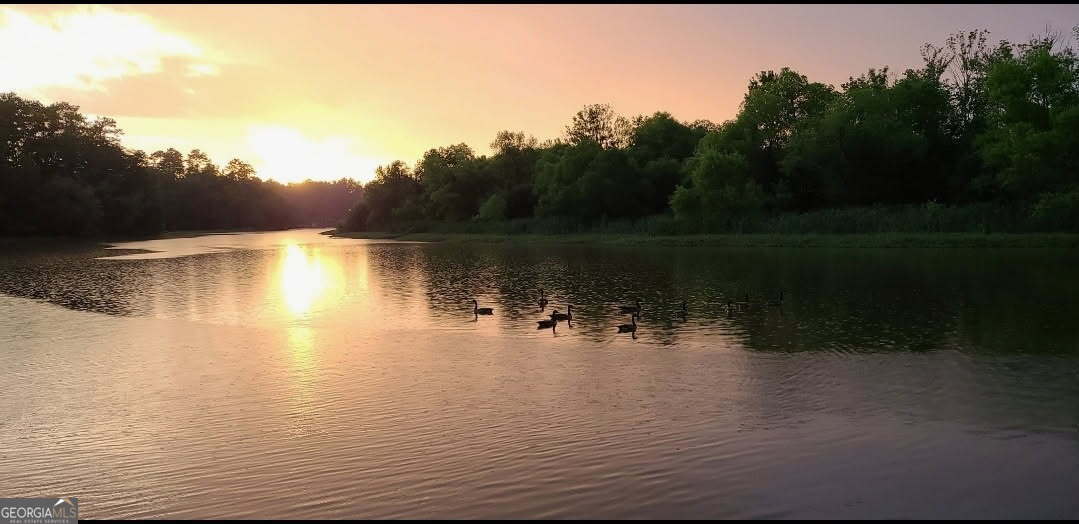 532 Henry Higgins Road Jackson, GA 30233 - Photo 3 of 46 a view of a lake view