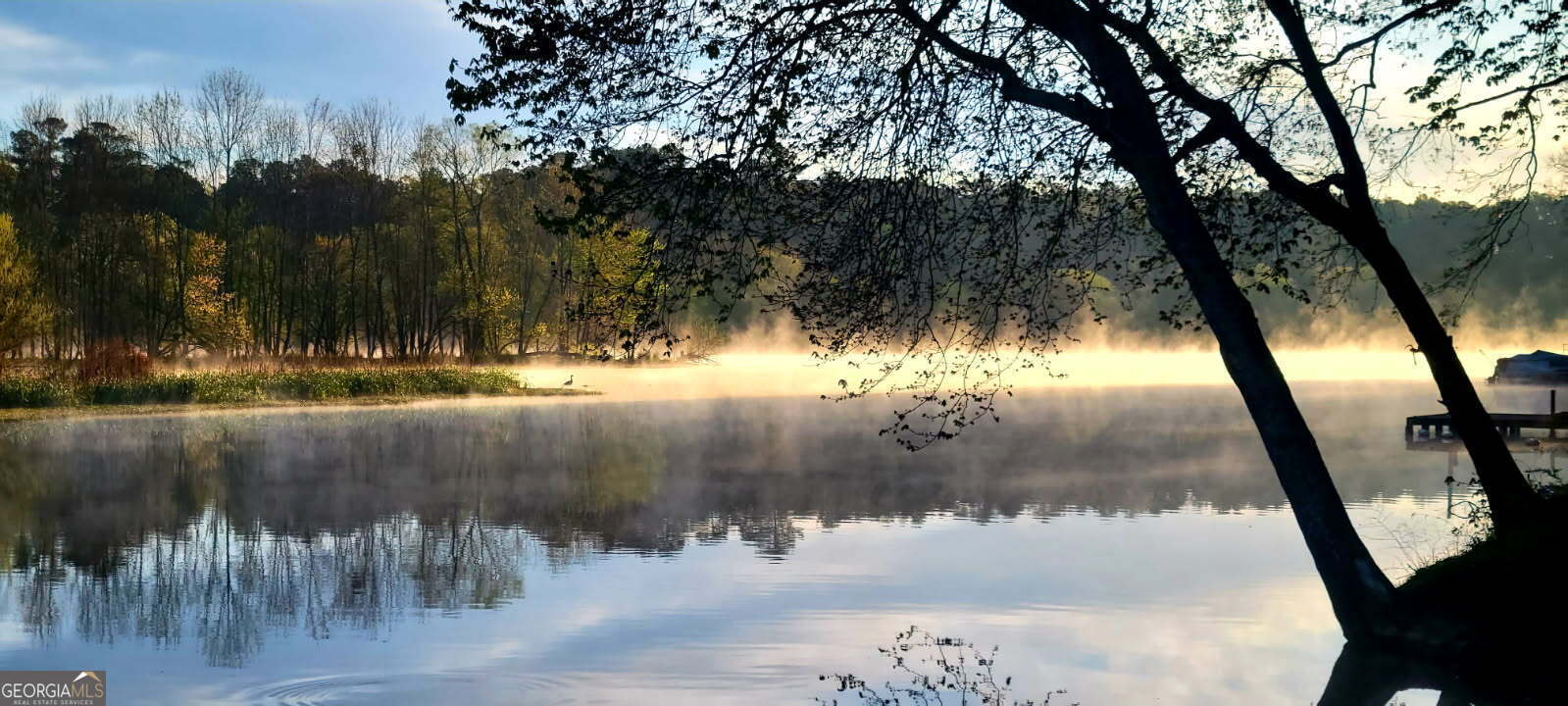 532 Henry Higgins Road Jackson, GA 30233 - Photo 31 of 46 a view of a lake view