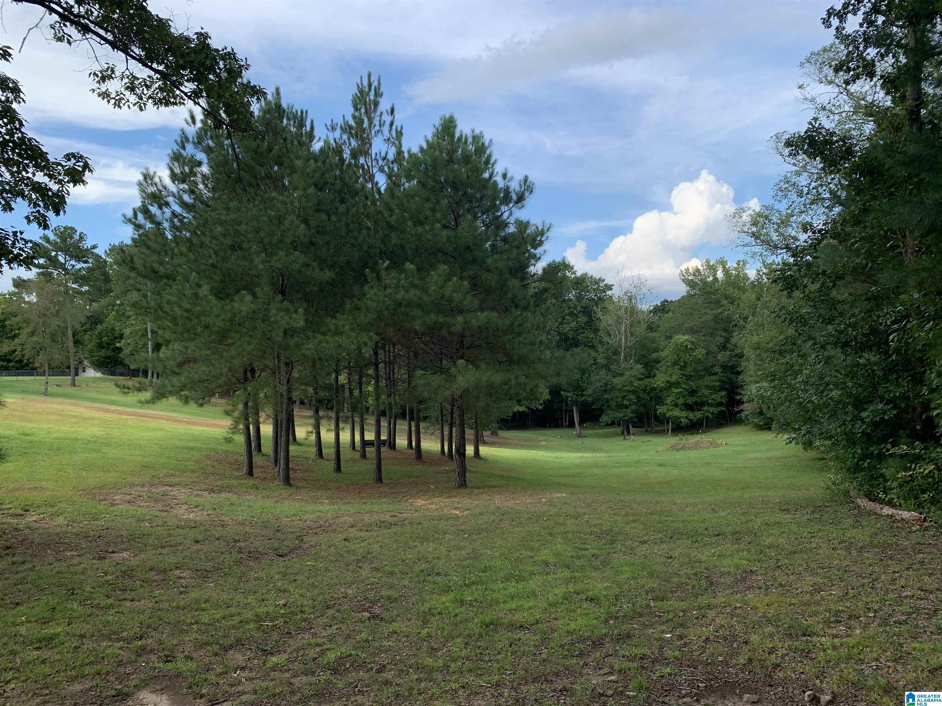 1596 Washington Valley Road Springville, AL 35146 - Photo 32 of 35 Gallery Image 32