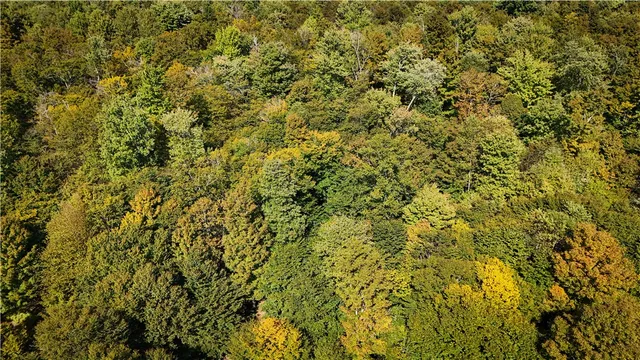 $89,900 | Tamblin Ridge, Bernhards Bay, NY 13028