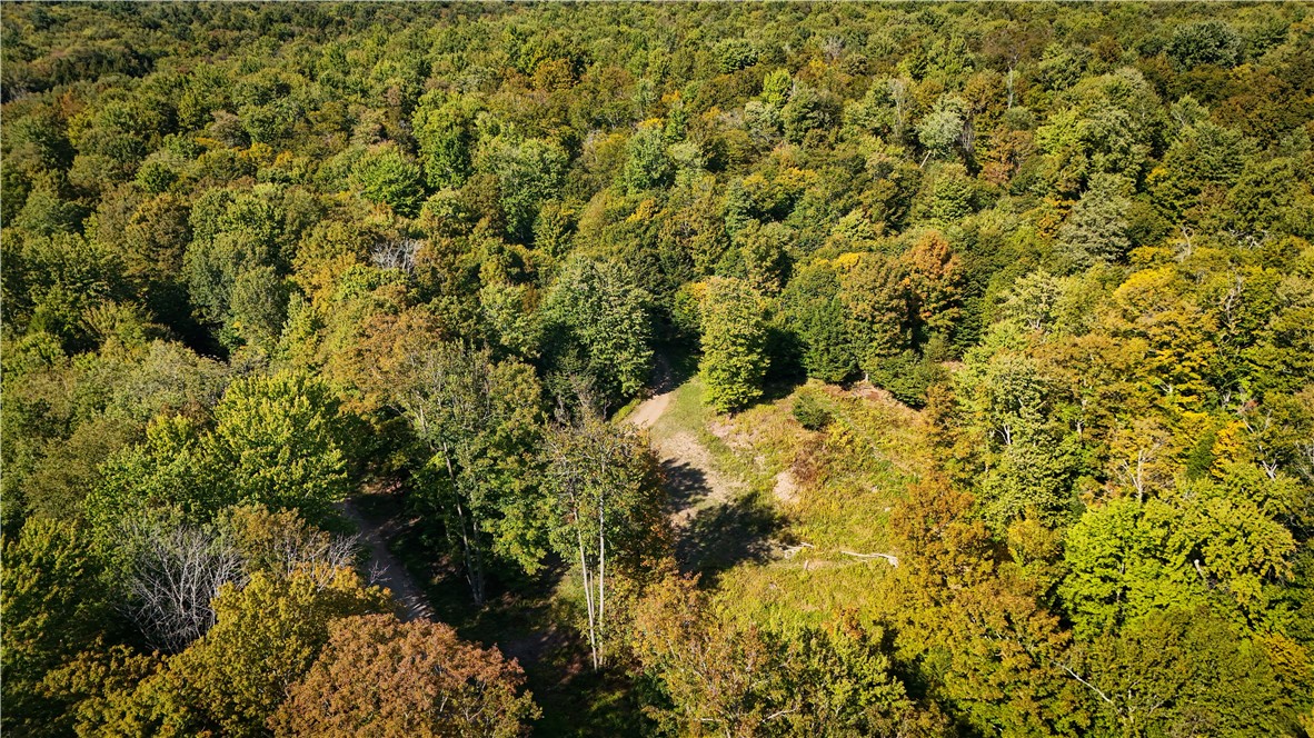 Tamblin Ridge Bernhards Bay, NY 13028 - Photo 16 of 50