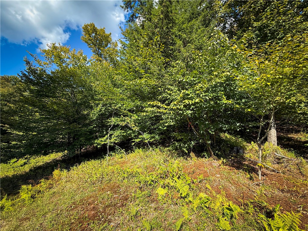 Tamblin Ridge Bernhards Bay, NY 13028 - Photo 18 of 50