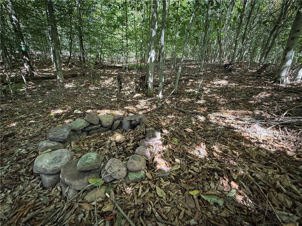 Tamblin Ridge Bernhards Bay, NY 13028 - Photo 19 of 50