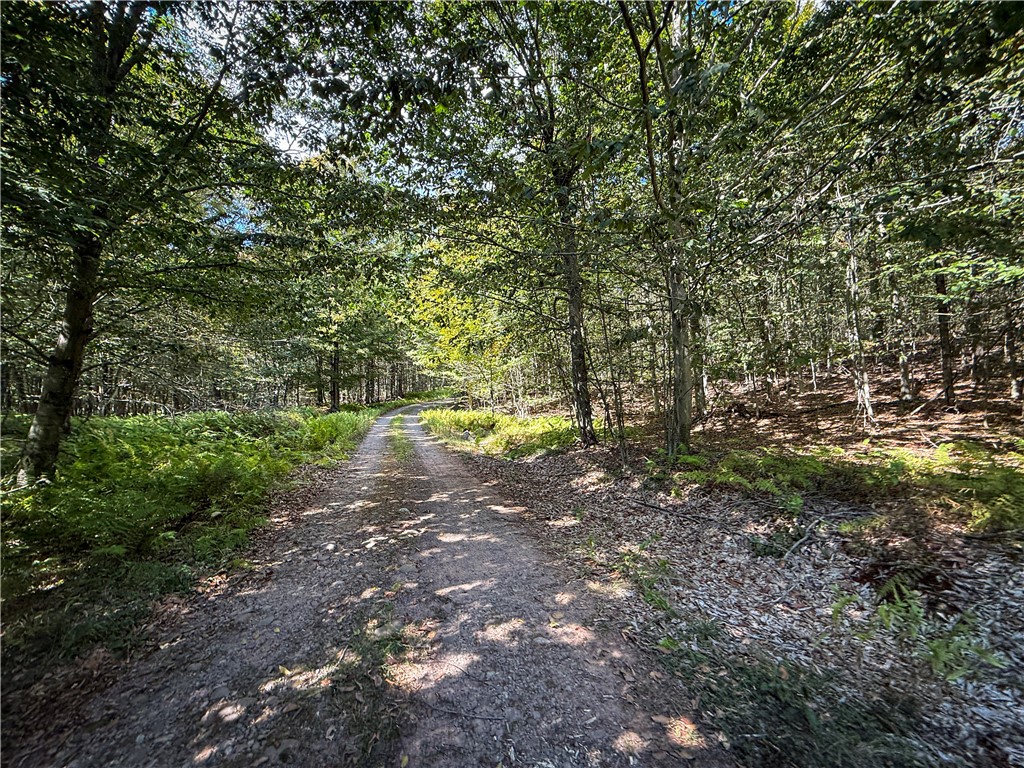 Tamblin Ridge Bernhards Bay, NY 13028 - Photo 20 of 50