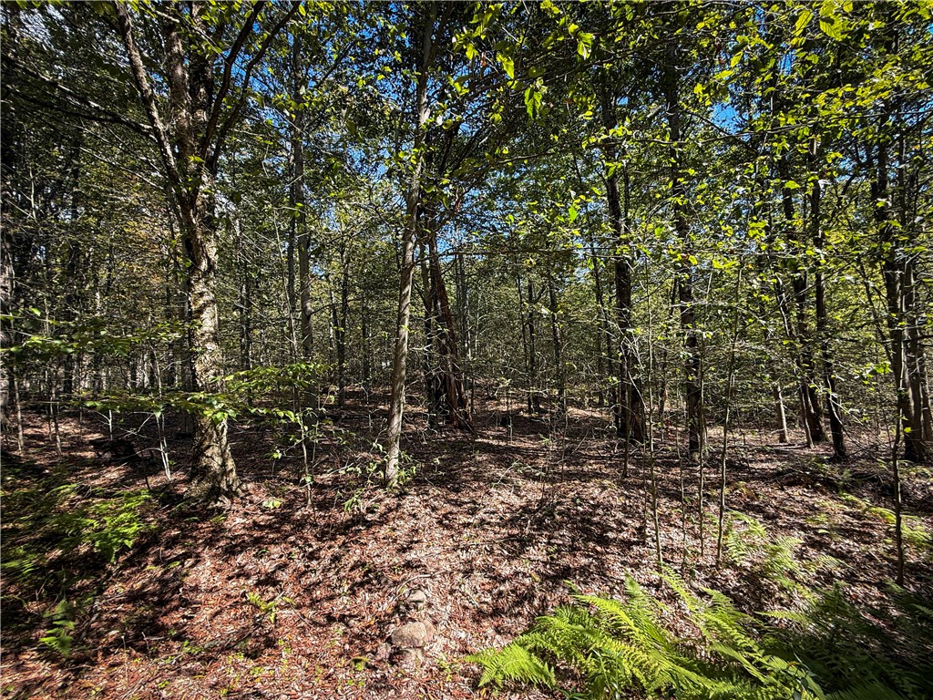 Tamblin Ridge Bernhards Bay, NY 13028 - Photo 21 of 50