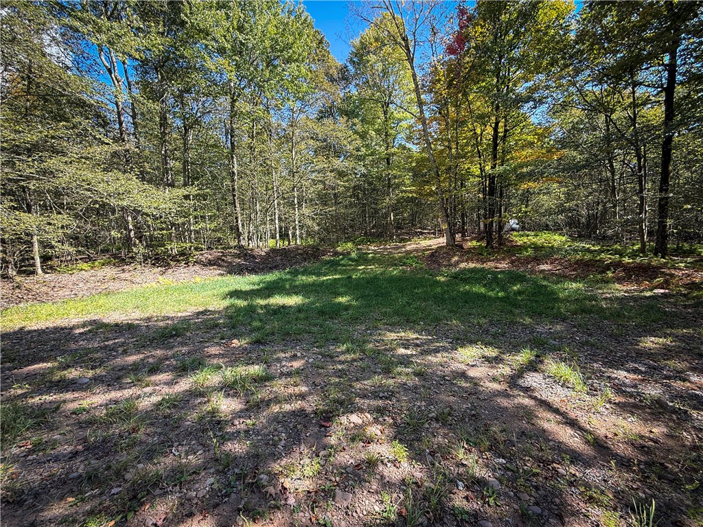 Tamblin Ridge Bernhards Bay, NY 13028 - Photo 22 of 50