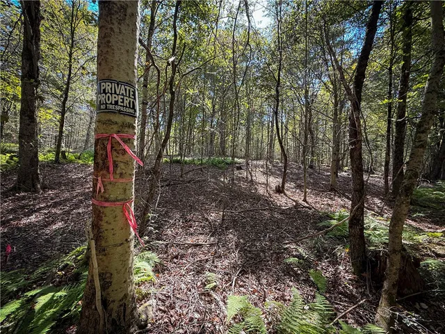 $89,900 | Tamblin Ridge, Bernhards Bay, NY 13028