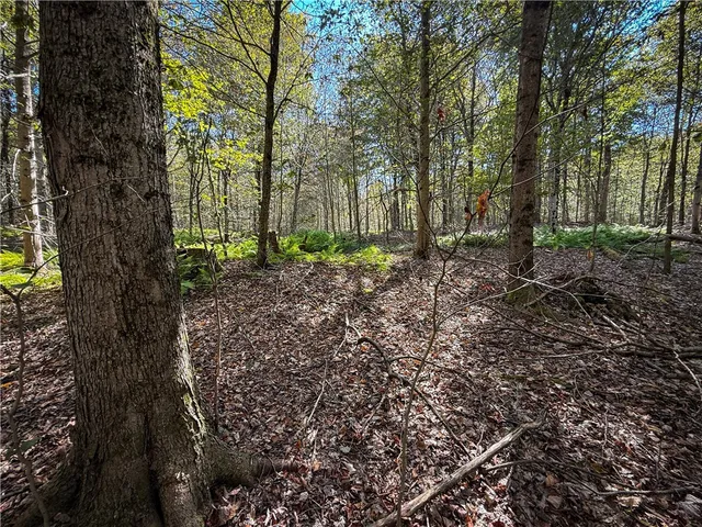 $89,900 | Tamblin Ridge, Bernhards Bay, NY 13028