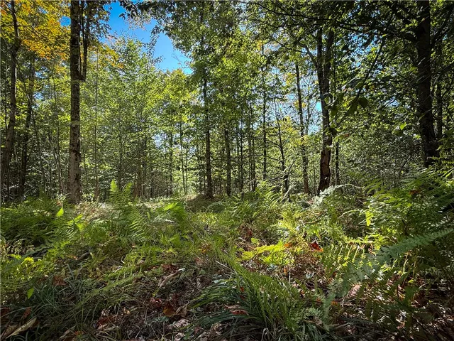 $89,900 | Tamblin Ridge, Bernhards Bay, NY 13028