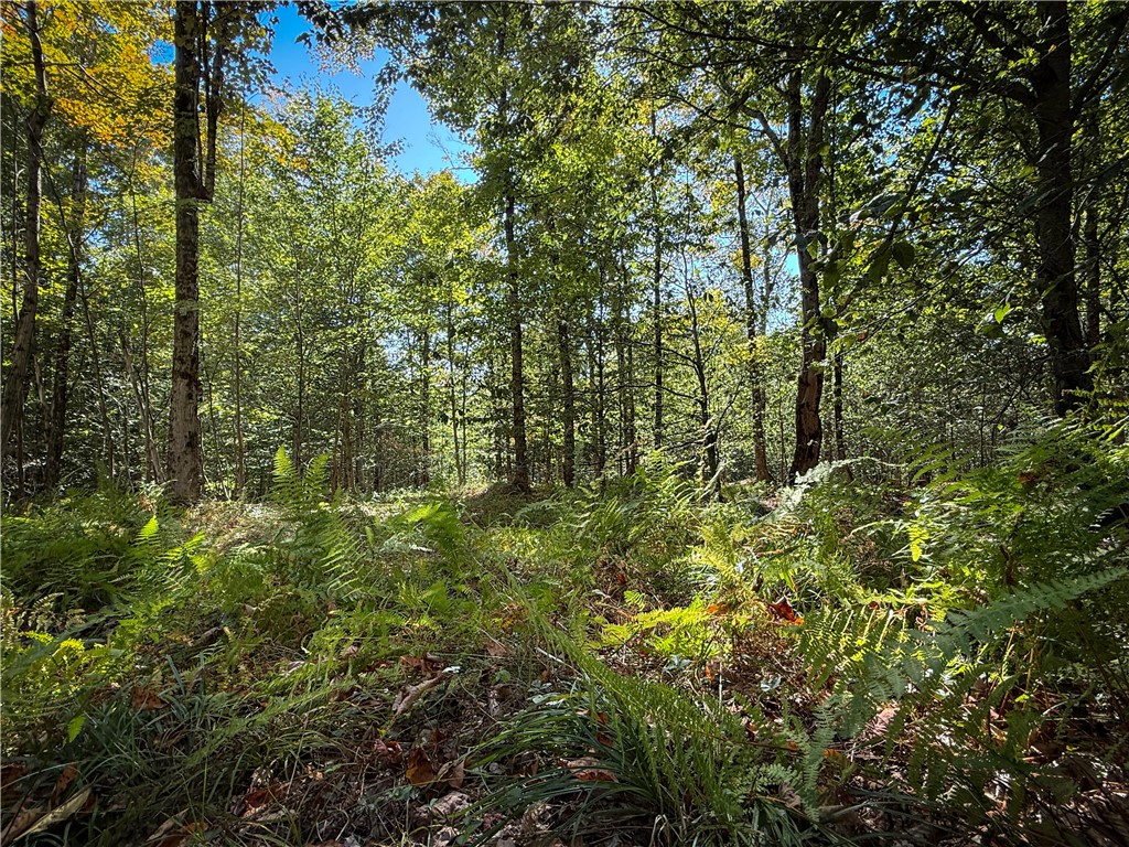 Tamblin Ridge Bernhards Bay, NY 13028 - Photo 27 of 50