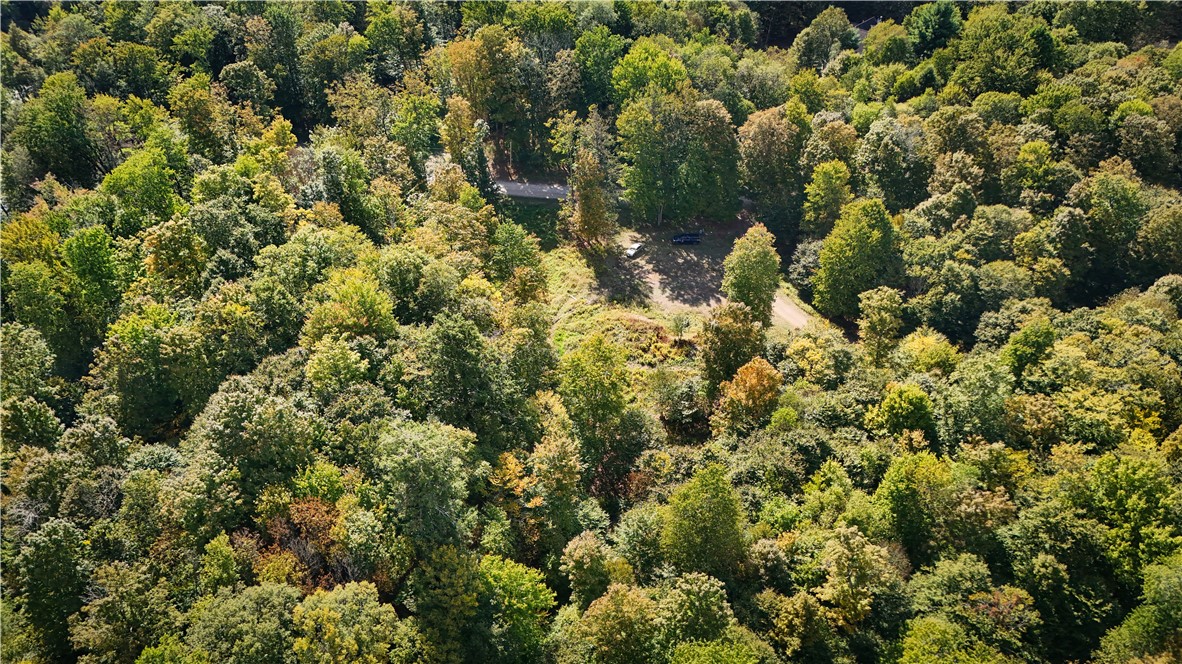 Tamblin Ridge Bernhards Bay, NY 13028 - Photo 32 of 50