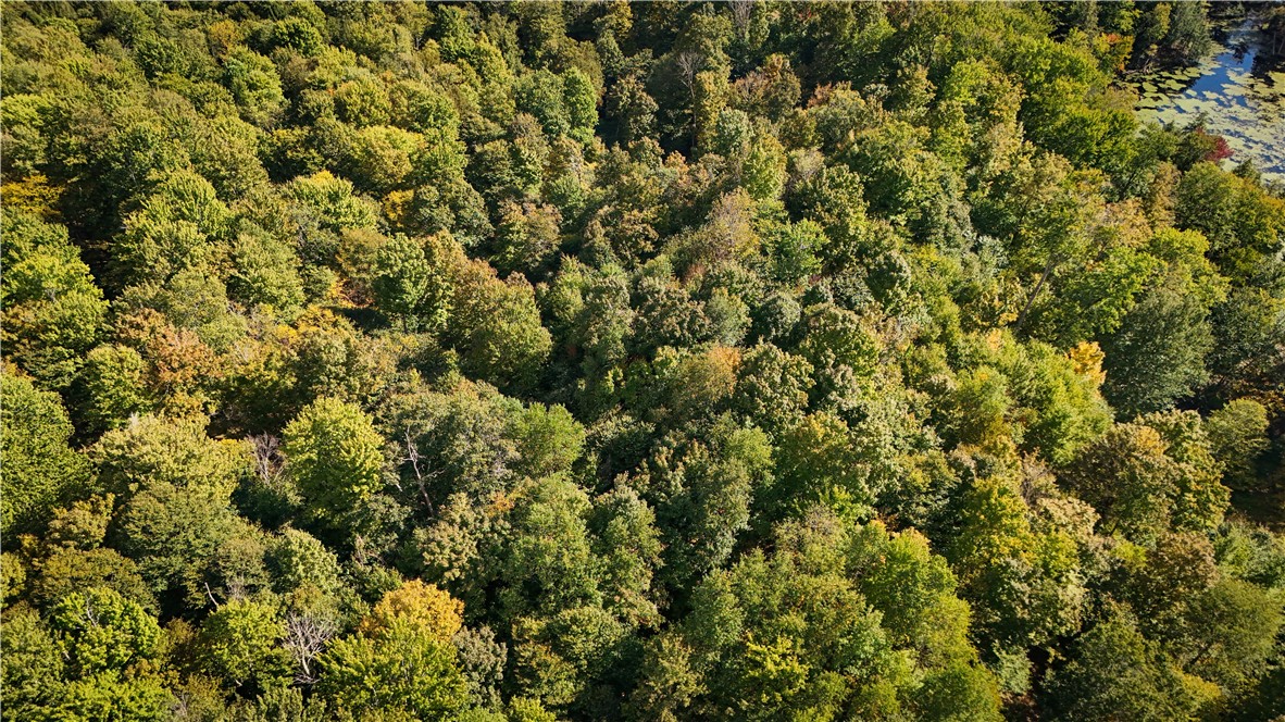 Tamblin Ridge Bernhards Bay, NY 13028 - Photo 33 of 50