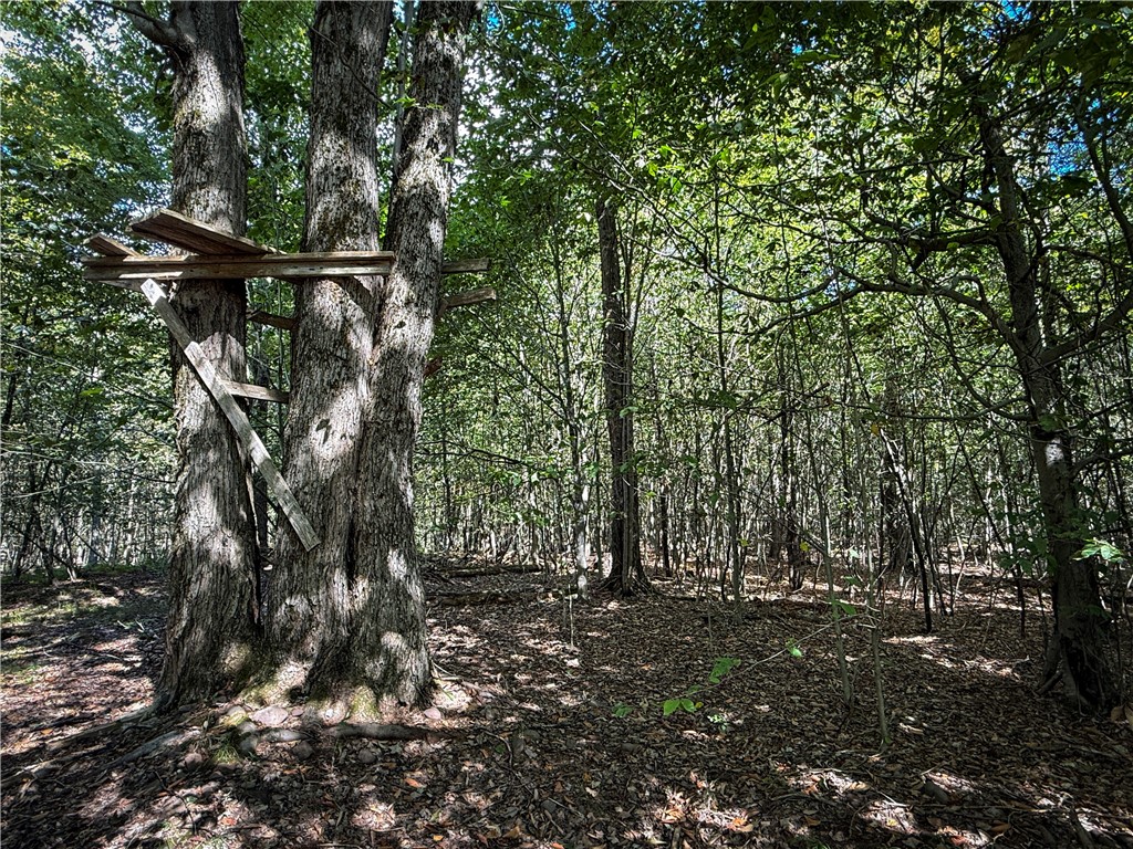 Tamblin Ridge Bernhards Bay, NY 13028 - Photo 37 of 50