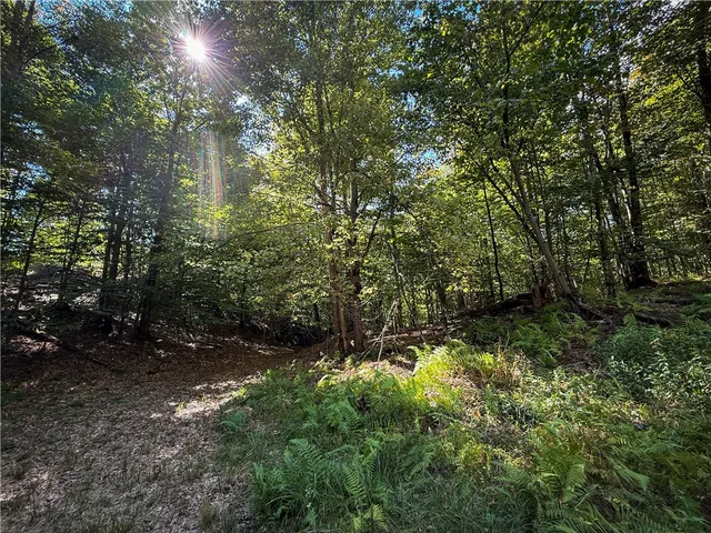 $89,900 | Tamblin Ridge, Bernhards Bay, NY 13028