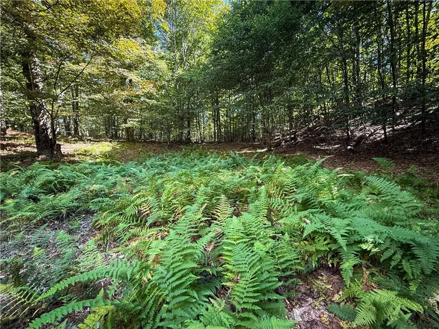 $89,900 | Tamblin Ridge, Bernhards Bay, NY 13028