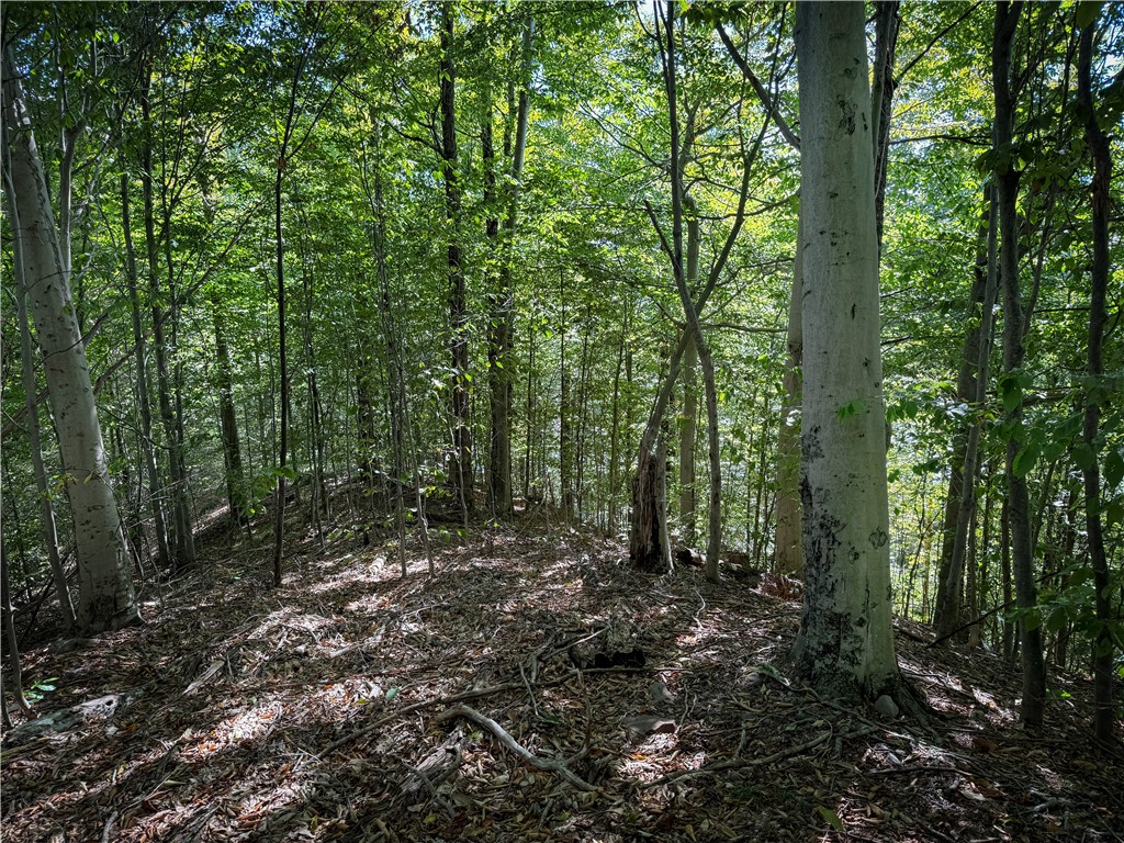 Tamblin Ridge Bernhards Bay, NY 13028 - Photo 40 of 50