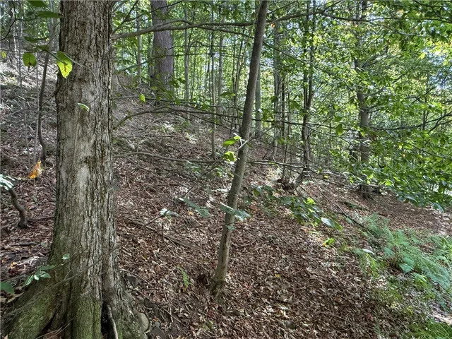 $89,900 | Tamblin Ridge, Bernhards Bay, NY 13028