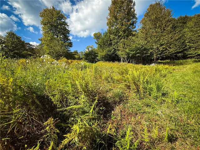 $89,900 | Tamblin Ridge, Bernhards Bay, NY 13028