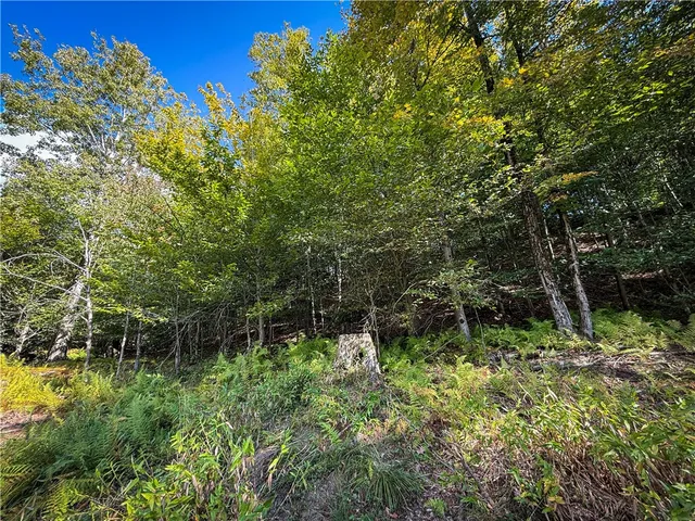 $89,900 | Tamblin Ridge, Bernhards Bay, NY 13028