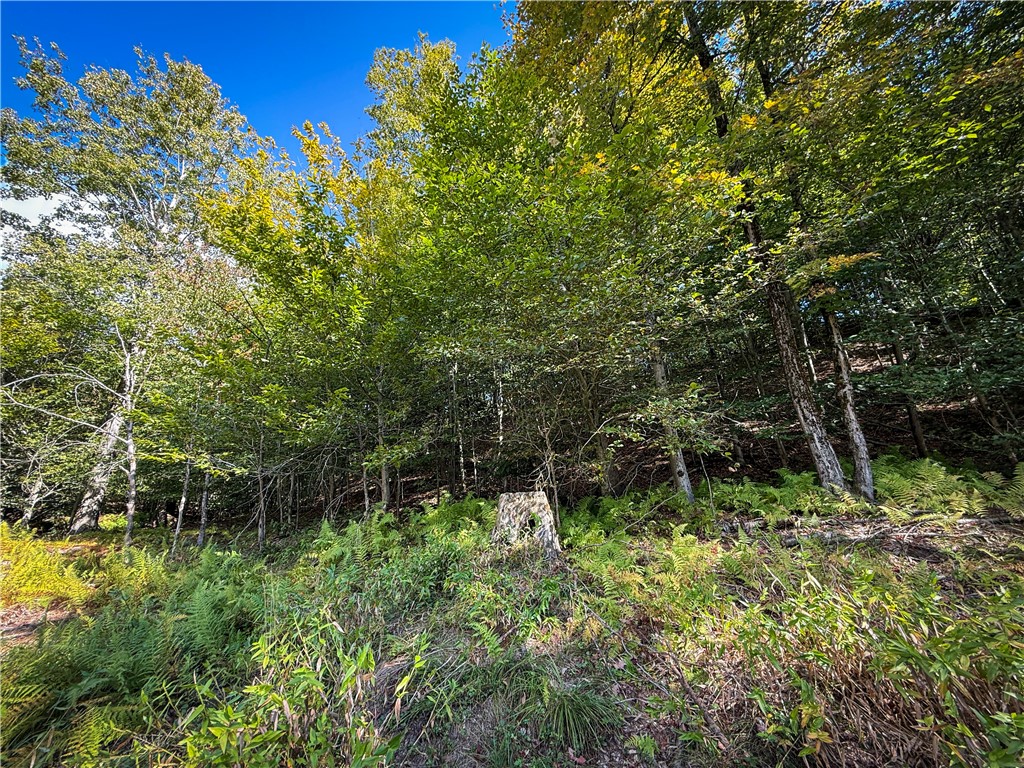 Tamblin Ridge Bernhards Bay, NY 13028 - Photo 43 of 50