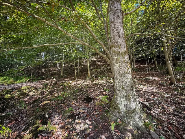 $89,900 | Tamblin Ridge, Bernhards Bay, NY 13028