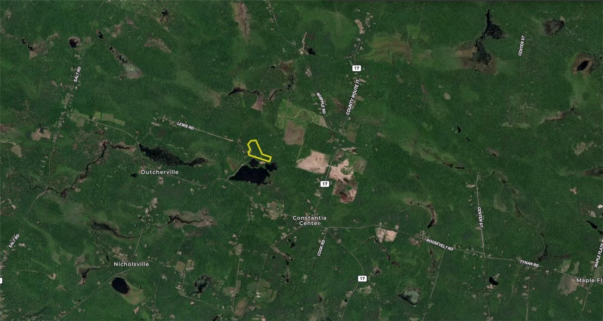 Tamblin Ridge Bernhards Bay, NY 13028 - Photo 50 of 50