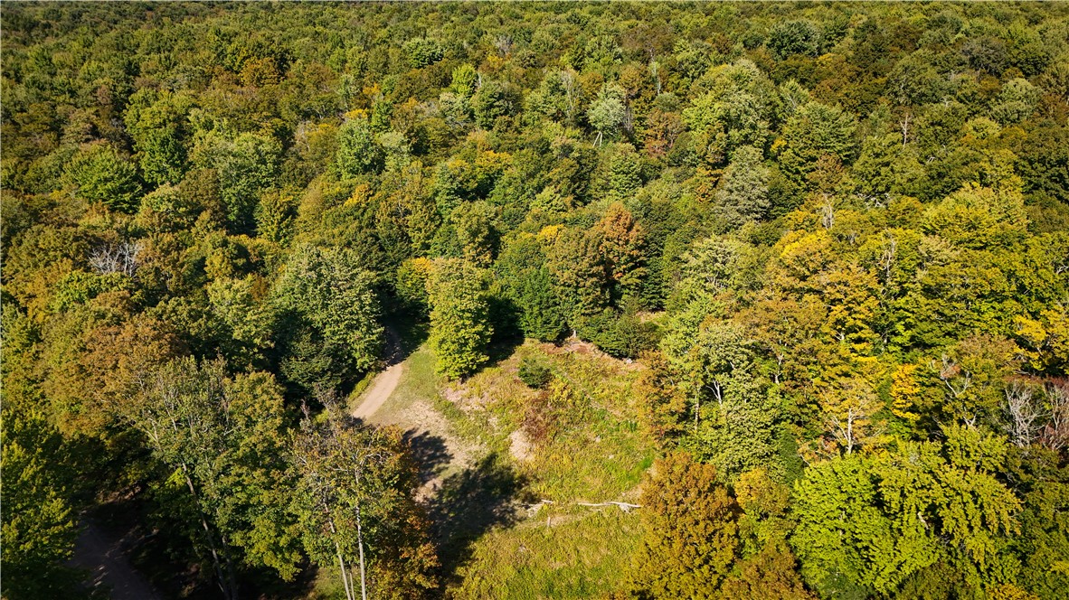 Tamblin Ridge Bernhards Bay, NY 13028 - Photo 5 of 50