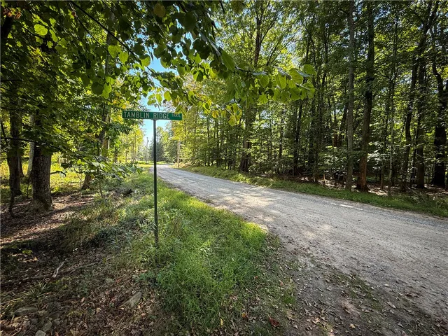 $89,900 | Tamblin Ridge, Bernhards Bay, NY 13028