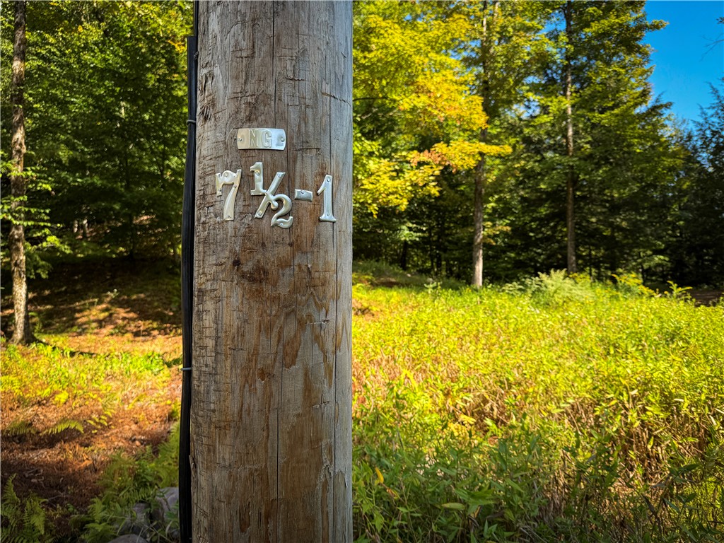 Tamblin Ridge Bernhards Bay, NY 13028 - Photo 10 of 50