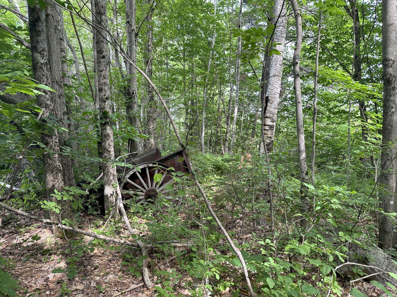 492 Tower Road Vienna, ME 04360 - Photo 6 of 31 IMG_2585_result