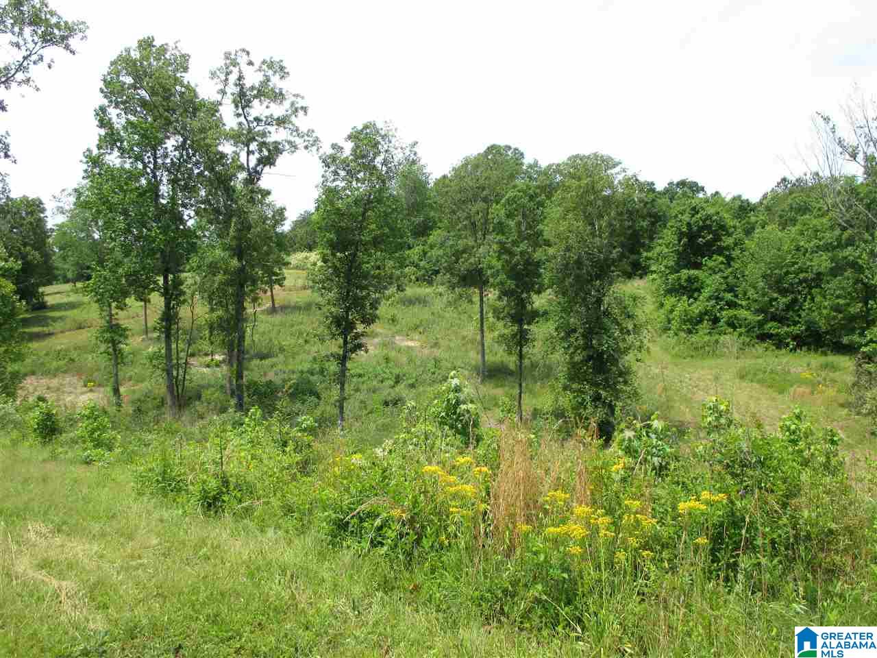 14741 Duck Springs Road Attalla, AL 35954 - Photo 27 of 41