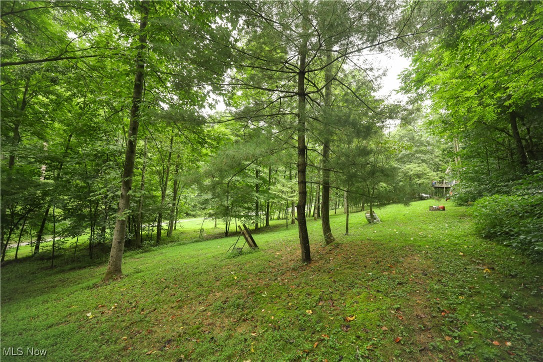 30939 Jacks Run Road Quaker City, OH 43773 - Photo 7 of 48 Gallery Image 7