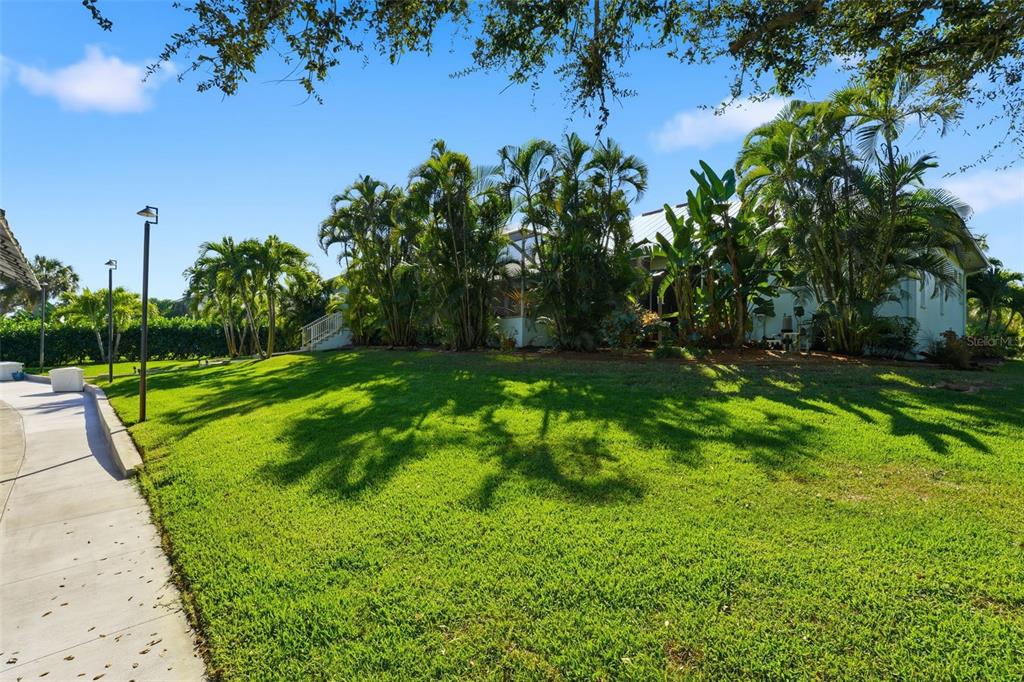 200 Capstan Drive Placida, FL 33946 - Photo 74 of 86 a view of a park with a tree in the background