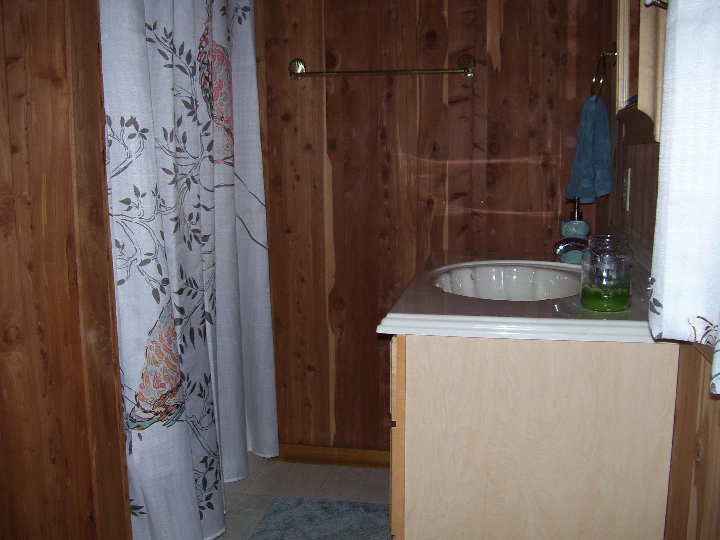 833 Stiner Road Sharps Chapel, TN 37866 - Photo 19 of 38 Lower level bath